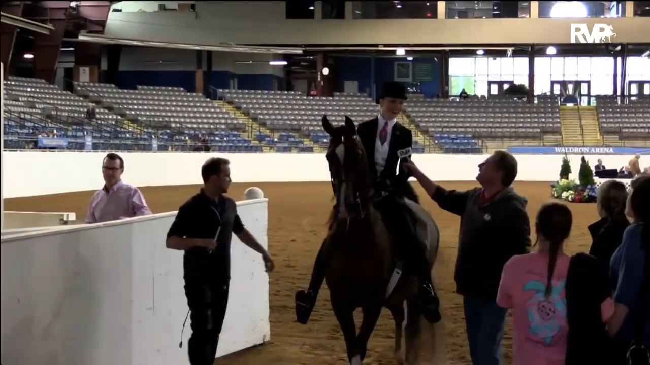 BB17 - Saturday Evening