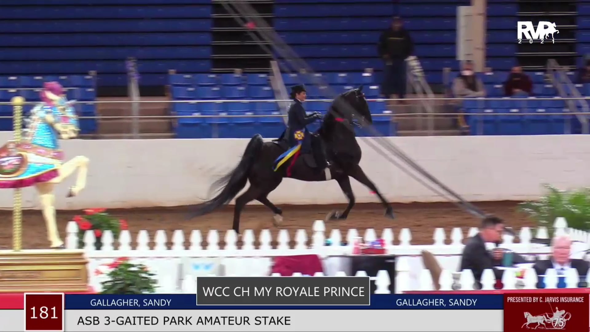 2021 Carousel Charity Horse Show - Academy