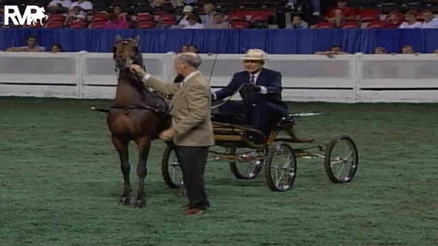 2004 World's Championship Horse Show ...