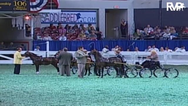 2009 World's Championship Horse Show ...