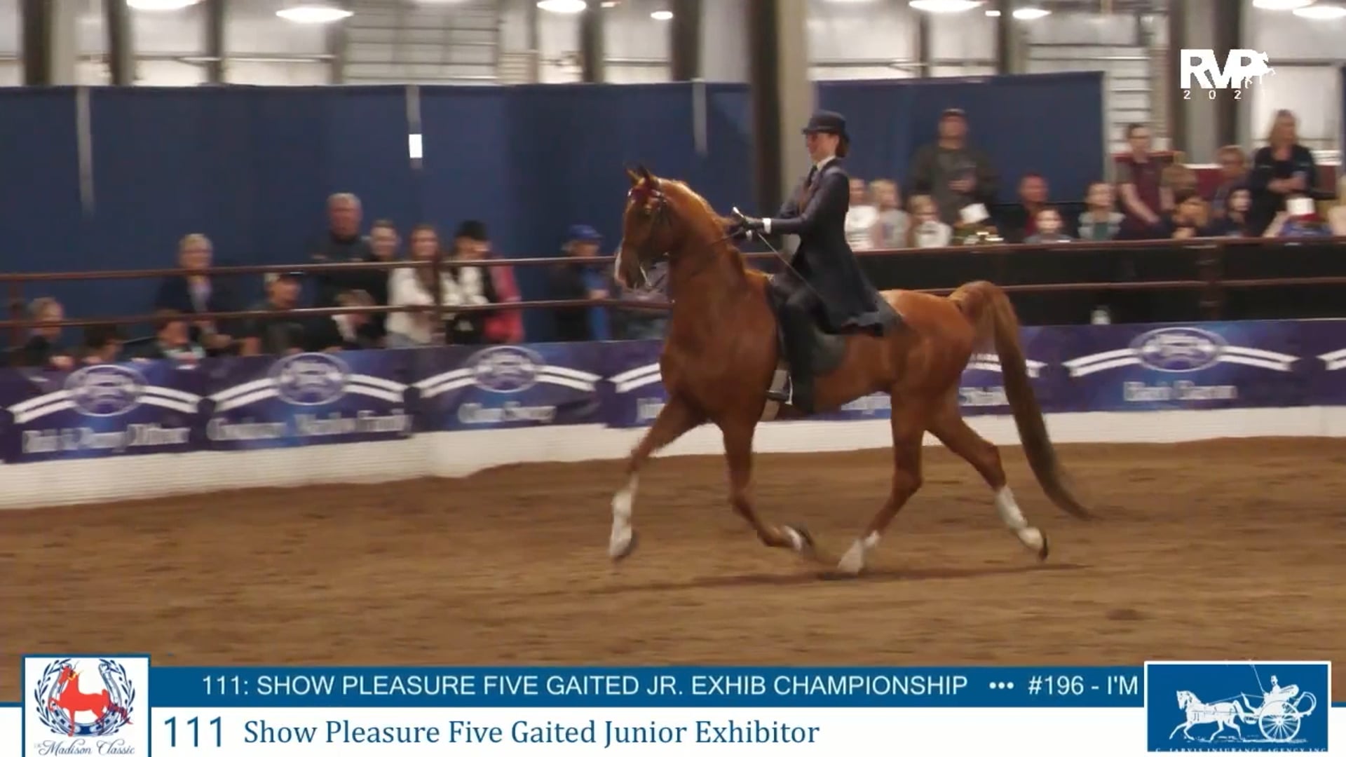 MC25 - Class 111 - Show Pleasure Five Gaited Jr Exhibitor