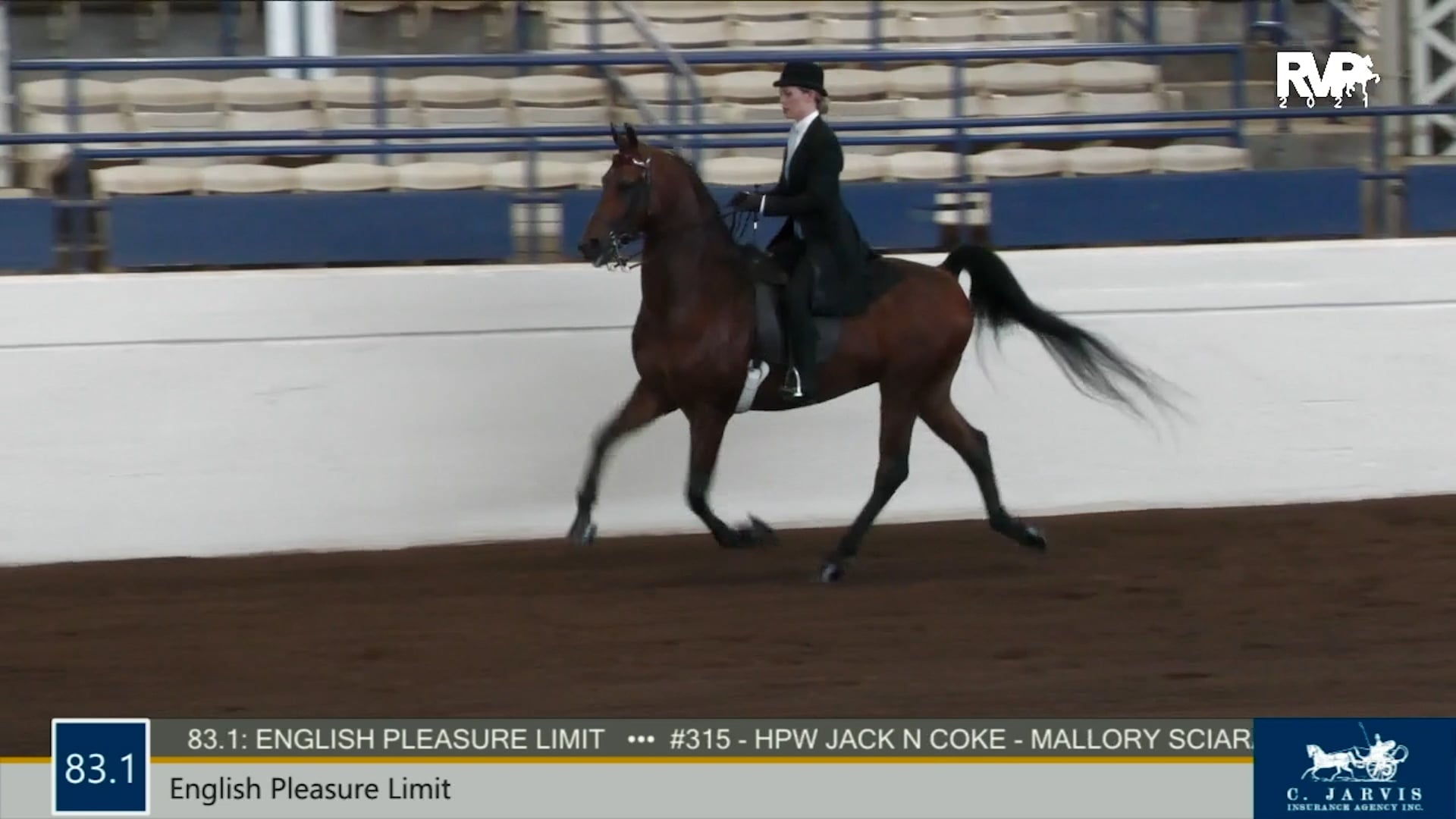 MJ21 - Class 83.1 - English Pleasure Limit