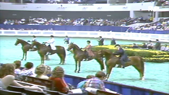 1991 WCHS Class 24 Three Gaited Pleas...