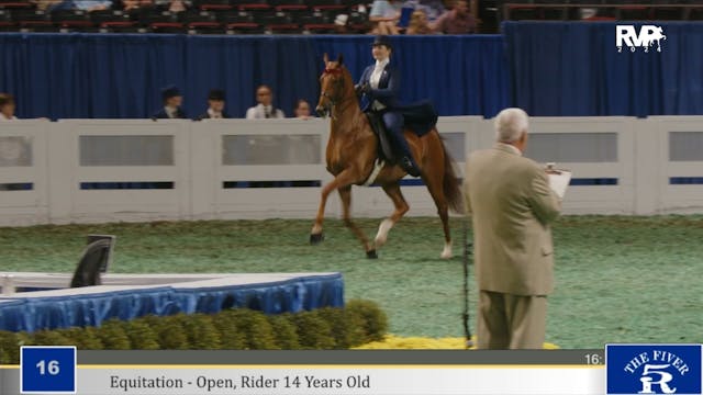 WCHS24 - Class 16 - Saddle Seat Equit...