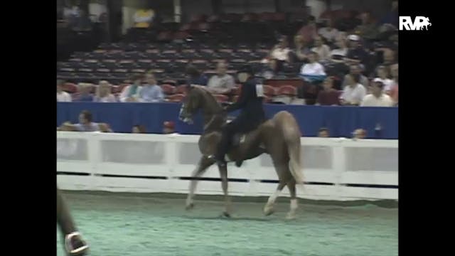 1997 WCHS - Class 72 Amateur Three Ga...