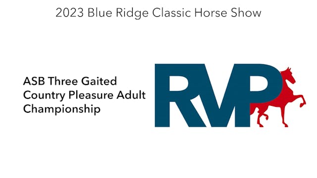 BR23 - Class 162 - ASB Three Gaited C...