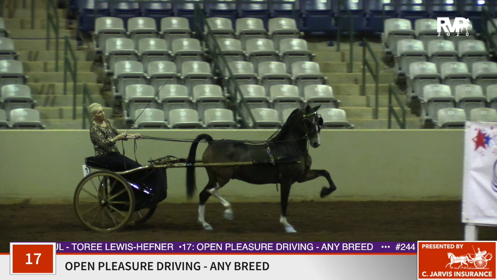 2020 SSFF - Class 17 Open Pleasure Driving Any Breed