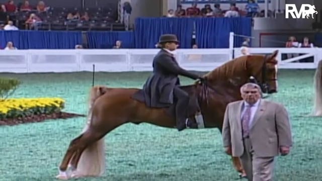 2009 World's Championship Horse Show ...