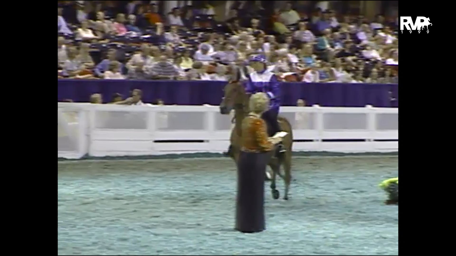 1999 WCHS - Class 53 Amateur Roadster Under Saddle