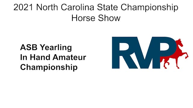NCSC21 - Class 90 - ASB Yearling In H...