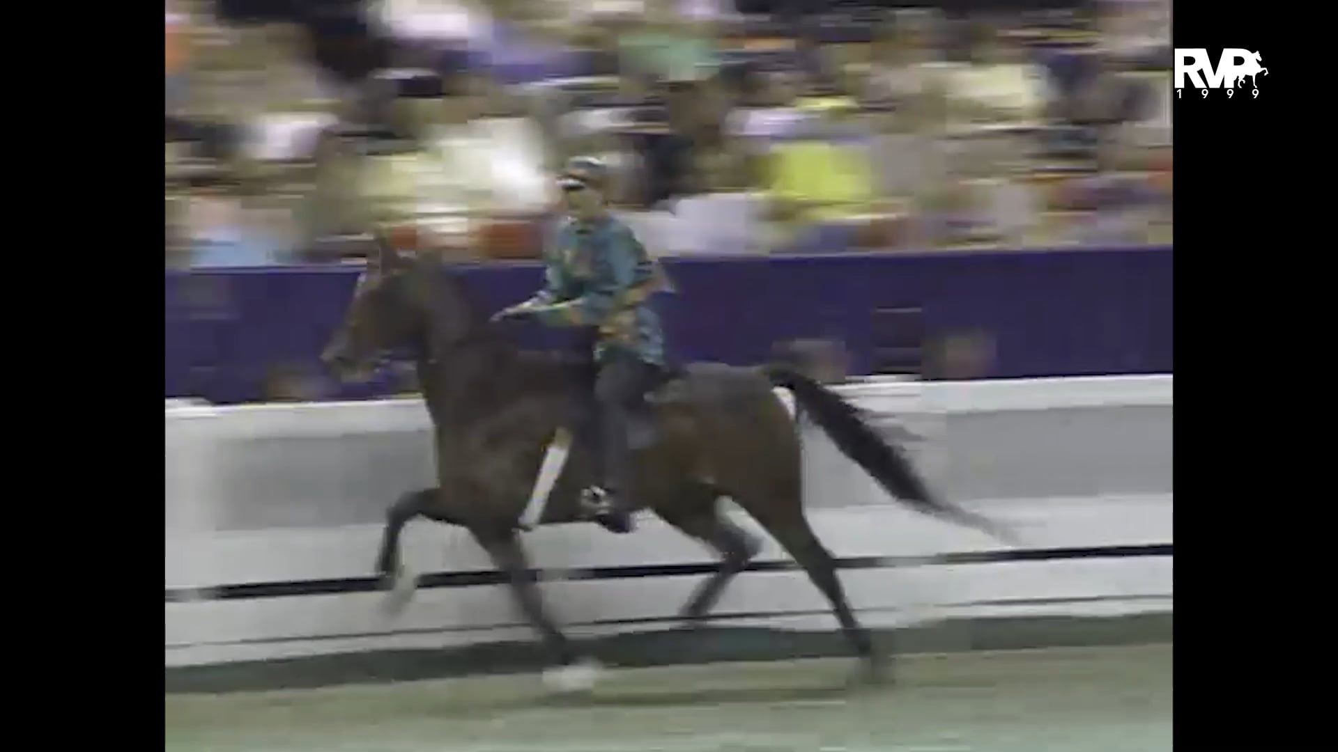 1999 WCHS - Class 179 Open Roadster Under Saddle