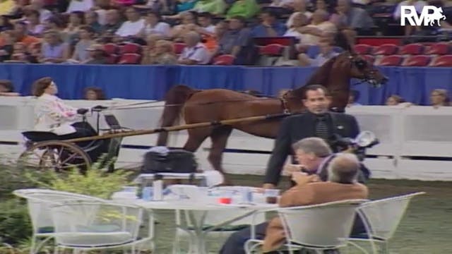 2004 World's Championship Horse Show ...