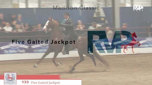 MC24 - Class 133 - Five Gaited Jackpot