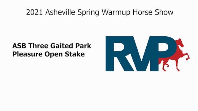 ASW21 - Class 99 - ASB Three Gaited P...