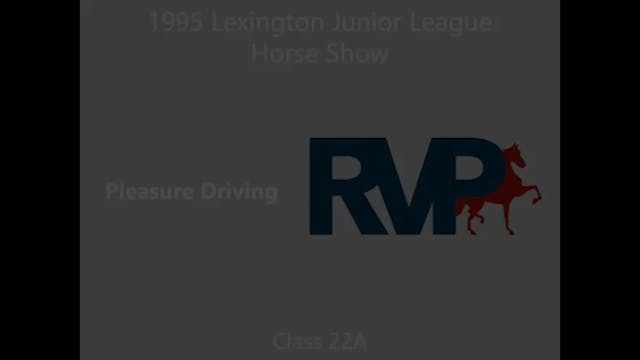 LJL 1995 - Class 22A - Pleasure Driving