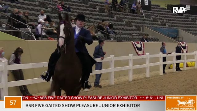 KFC 2020 - Class 57 ASB Five Gaited S...