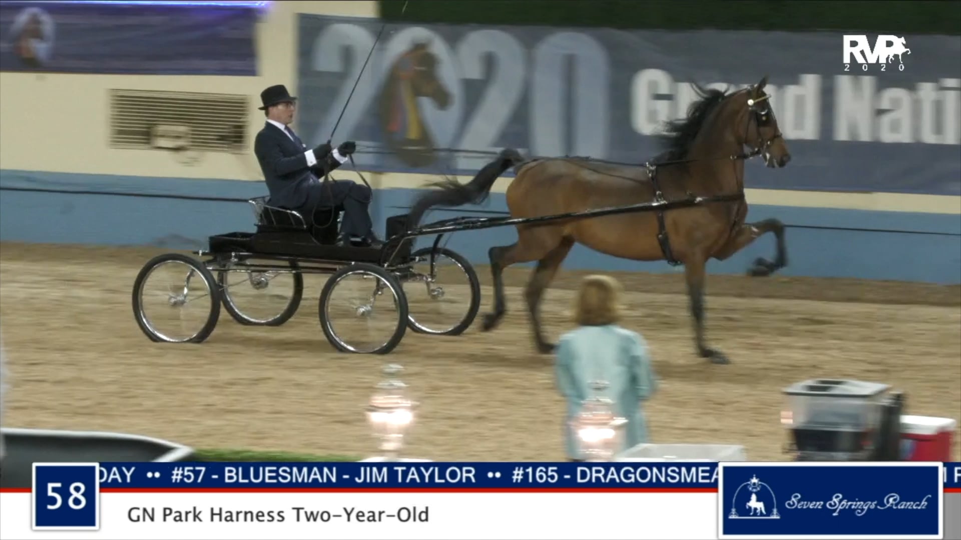 2020 MGN - Class 58 GN Park Harness Two-Year-Old