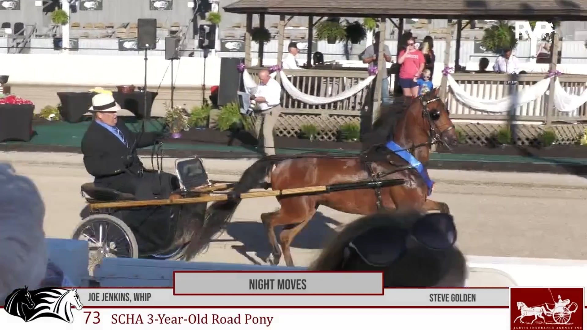 MCF25 - Class 73 - SCHA 3-Year-Old Road Pony