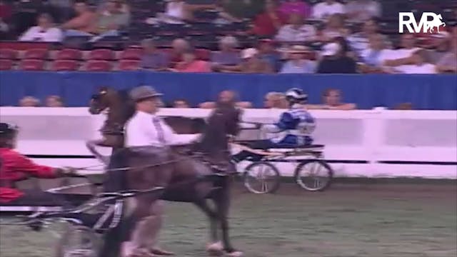2003 WCHS Class 130 Roadster Pony Jun...