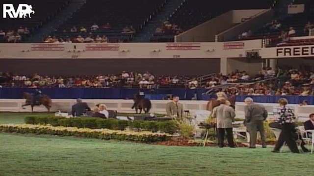 2004 World's Championship Horse Show ...