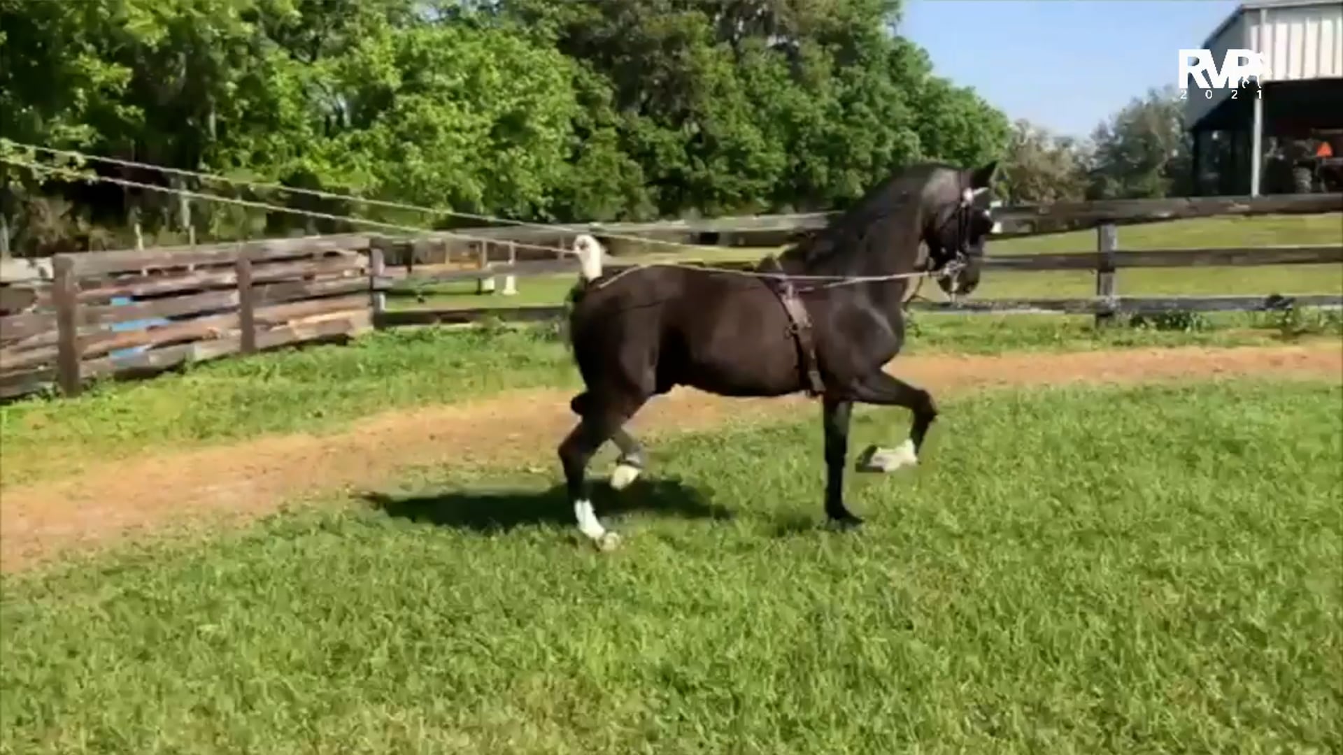 2021 World's Championship Horse Show - Monday Evening - August 23