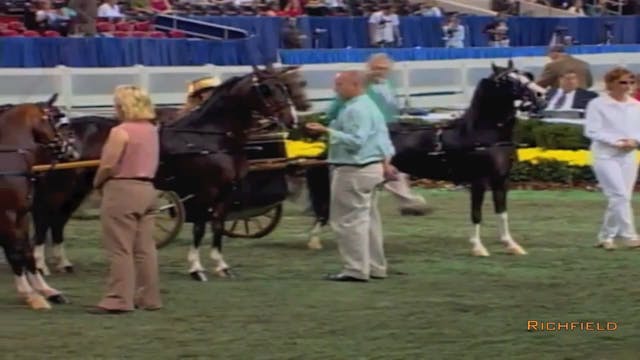 2002 WCHS Class 166 Junior Exhibitor ...
