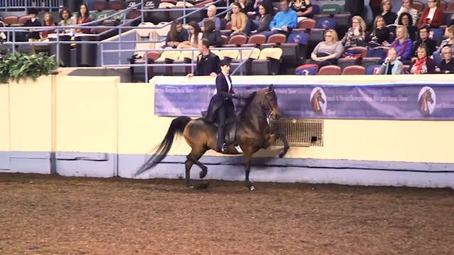 MGN16 - M E M Blue Chip - Behind the ...