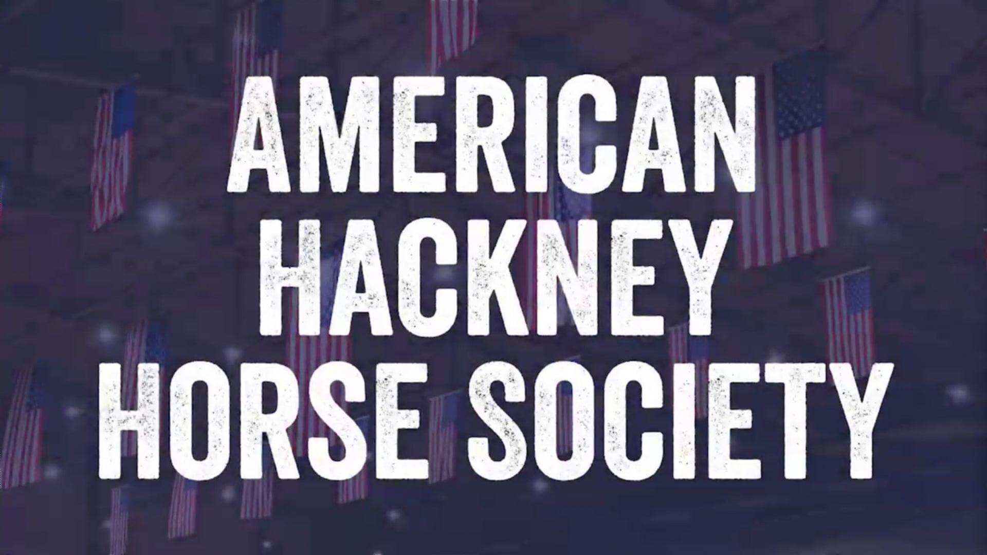2024 American Royal National Championship - Thursday Morning