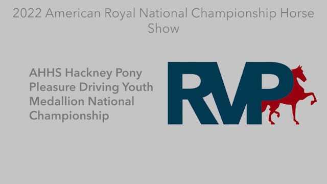 AR22 - Class 134 - AHHS Hackney Pony ...