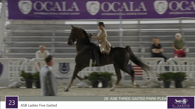 OIHS22 -  Class 28 - ASB Three Gaited...