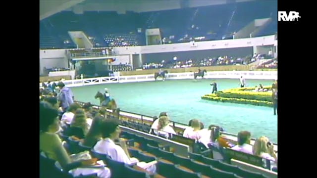 1988 WCHS Class 62 Five Gaited Pleasu...