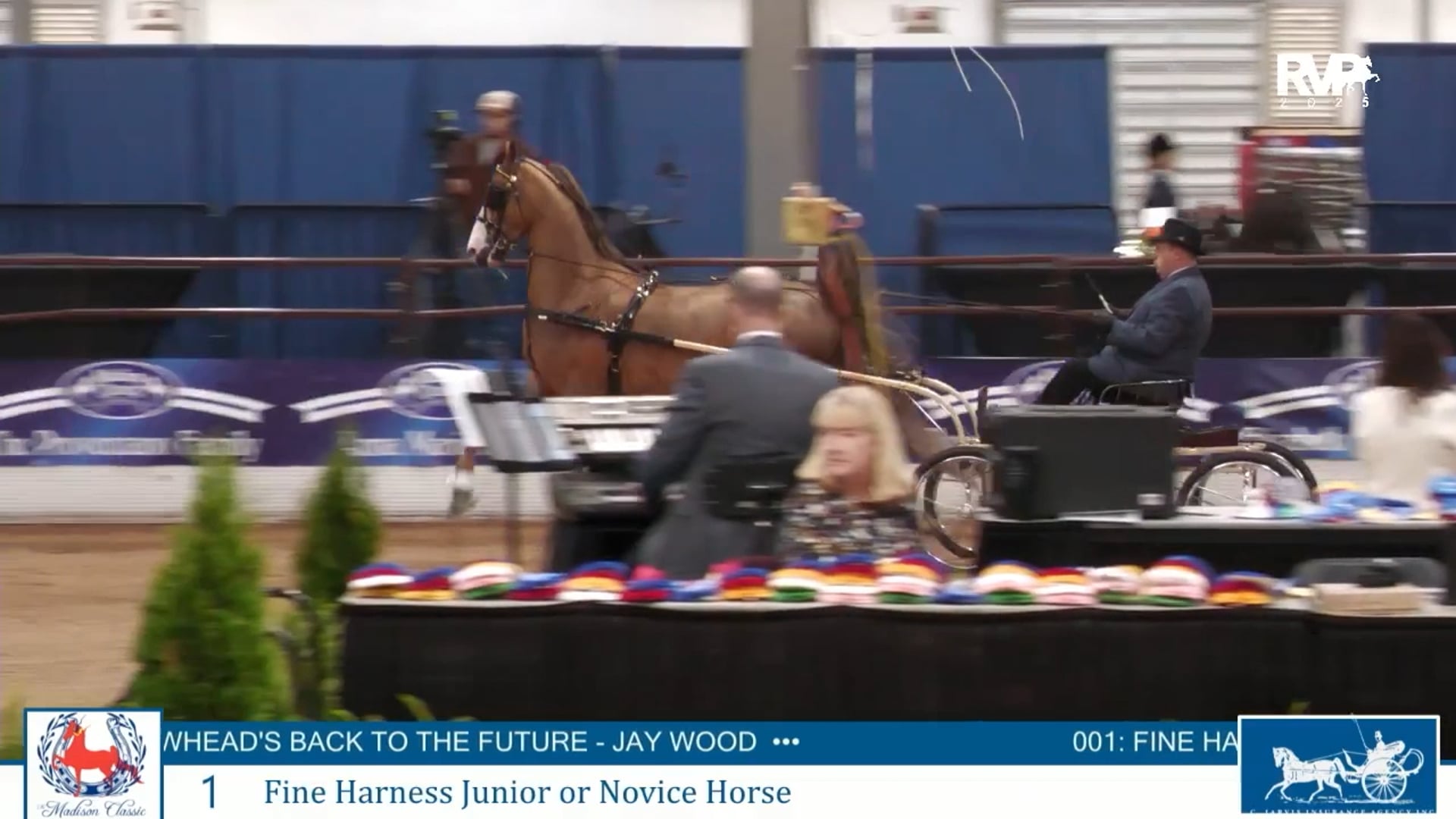 MC25 - Class 1 - Fine Harness Junior-Novice Horse