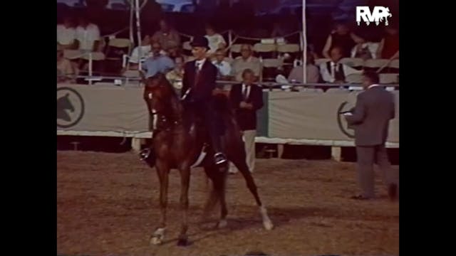LJL 1995 - Class 61 - Amateur Five Ga...