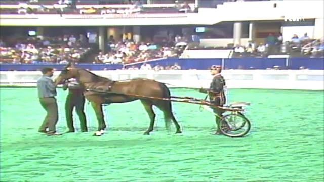 1992 WCHS Class 12 Kentucky County Fa...