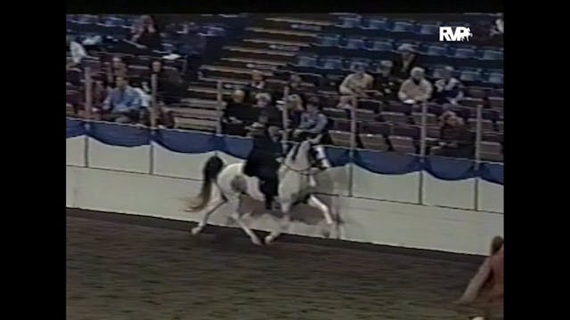 2004 American Royal - Park Pleasure G...