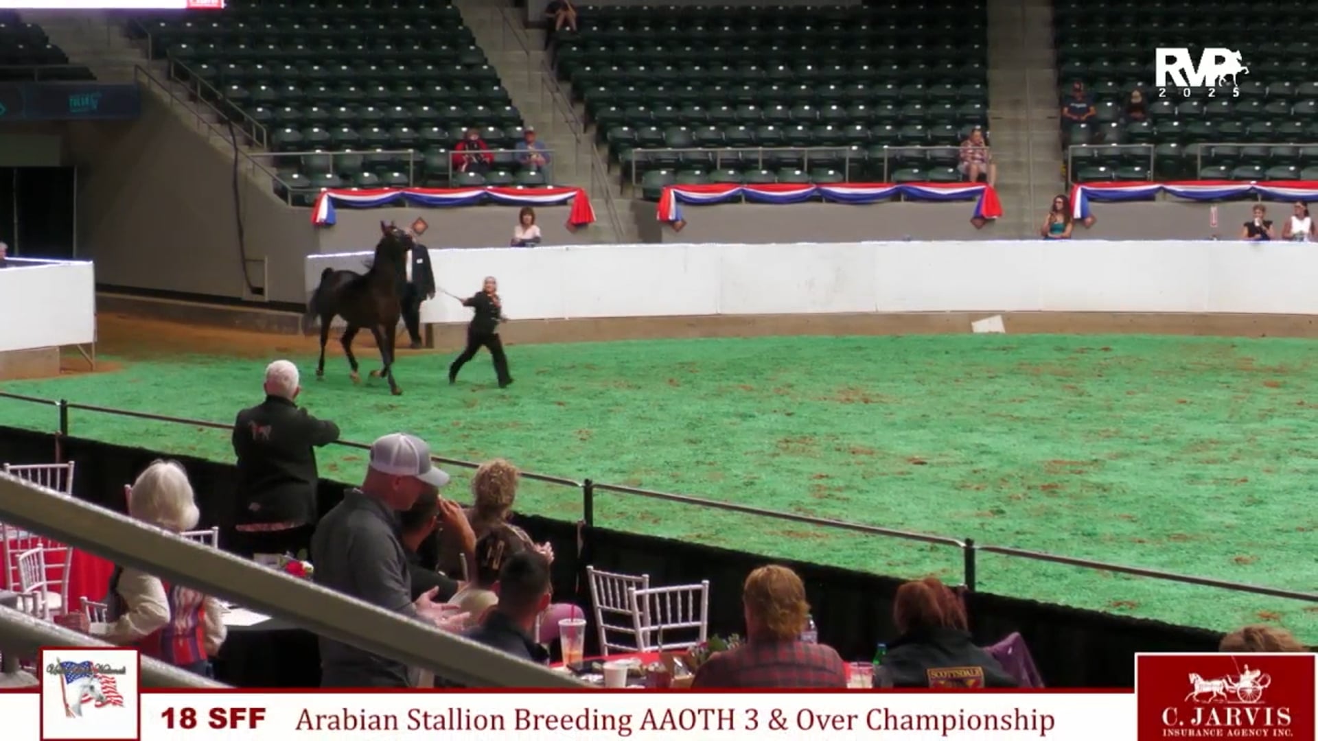 AN25 - Class 18 - Arabian Stallion Breeding AAOTH 3 & Over Championship