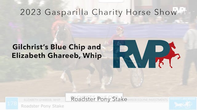 GASP23 - Class 178 - Gilchrist's Blue...