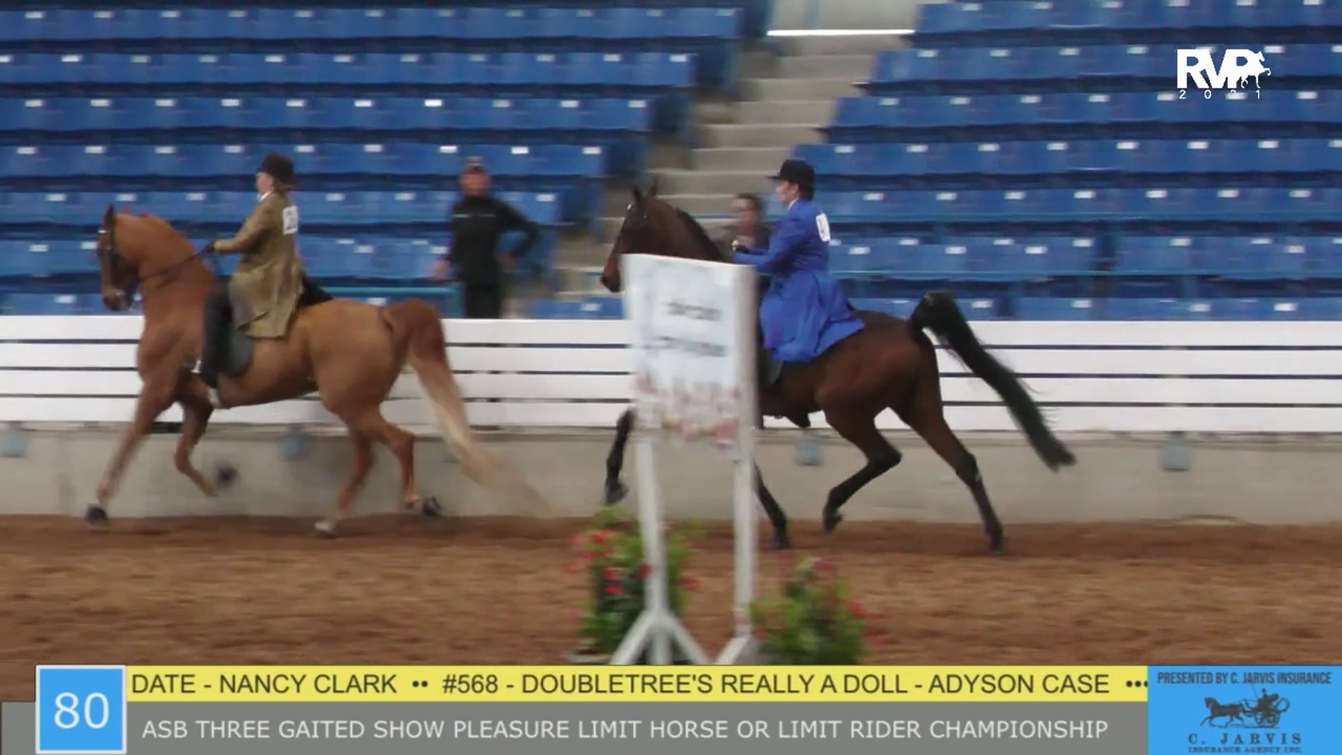 SSSF21 - Class 80 - ASB Three Gaited Show Pleasure Limit Horse or Rider
