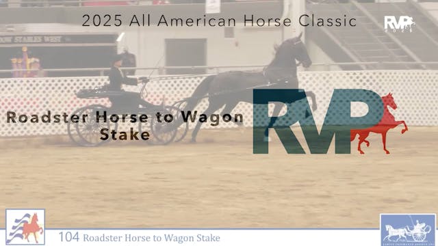 AAC25 - Class 104 - Roadster Horse to...