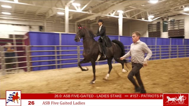 AAC24 - Class 26 - ASB Five Gaited La...