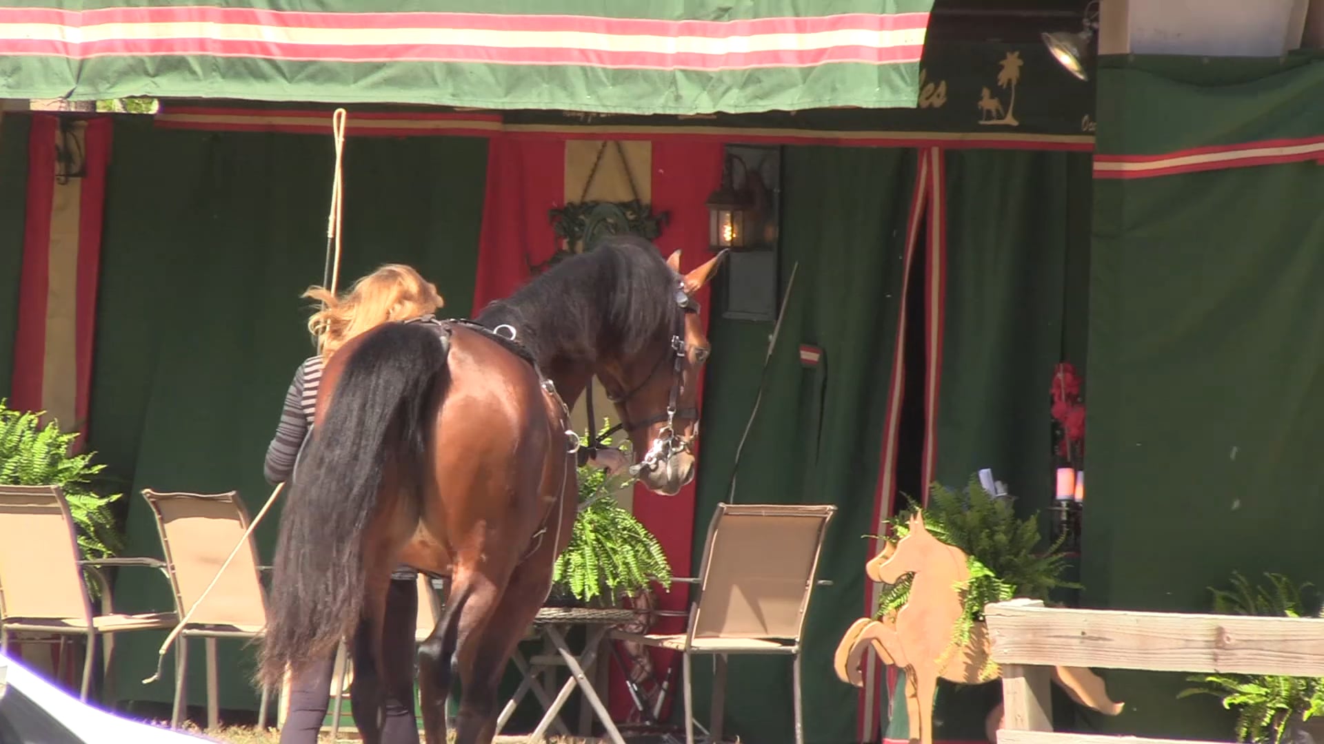 _Better Place_     Gasparilla 2021