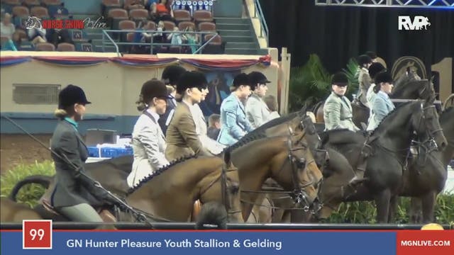 2015 MGN - Class 99 GN Hunter Pleasur...