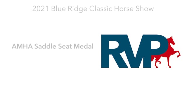 BR21 - Class 50 - AMHA Saddle Seat Medal