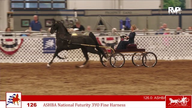 AAC24 - Class 126 - ASHBA National Fu...