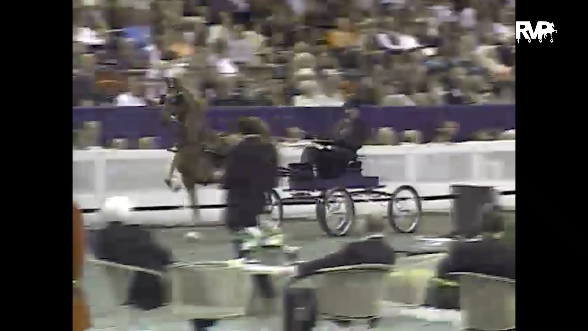 1999 WCHS - Class 192 ASHA National Three Year Old Futurity Fine Harness Finals