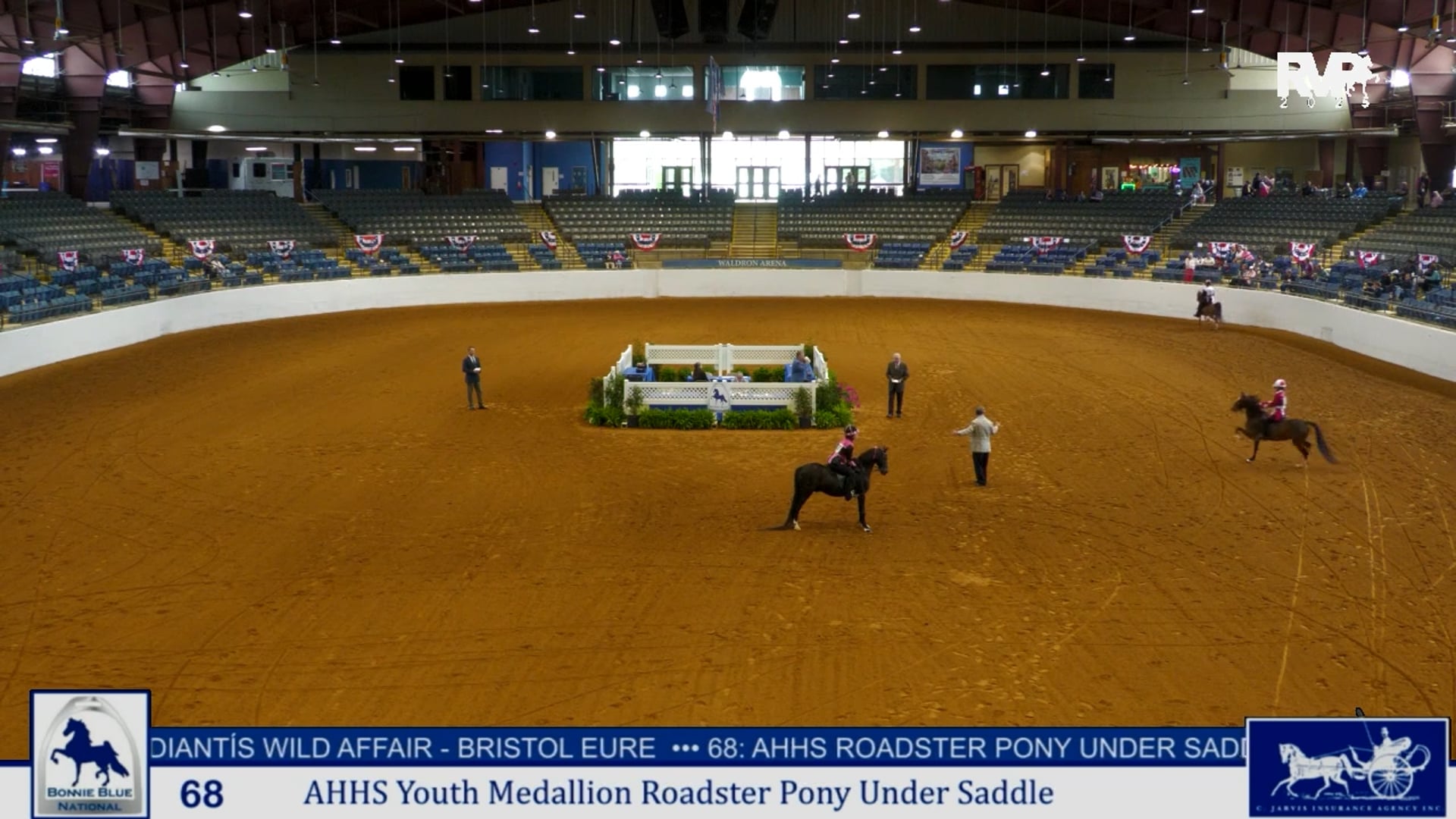 BB25 - Class 68 - AHHS Youth Medallion Roadster Pony  Under Saddle