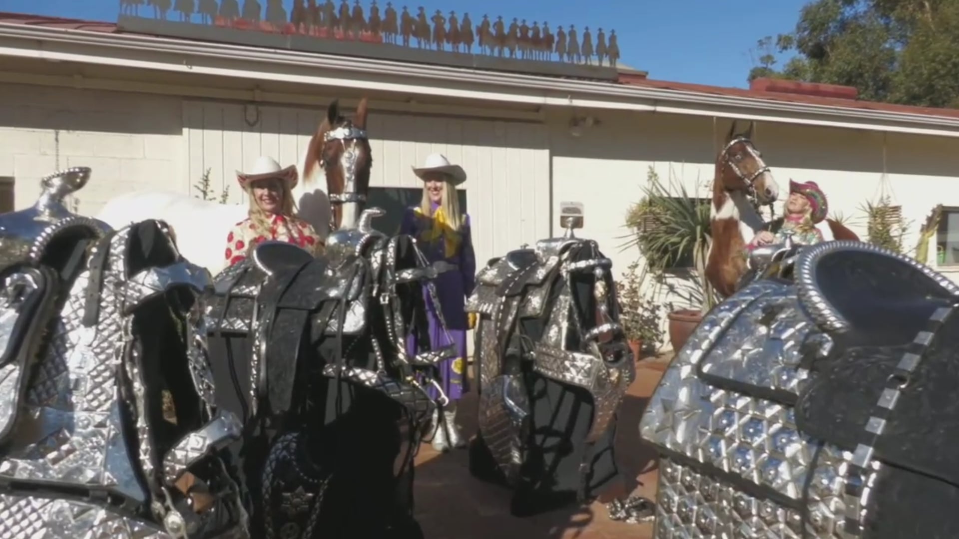 2021 Southern Saddlebred Spring Fling Horse Show - Wednesday Evening