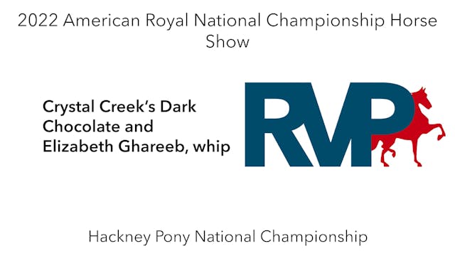 AR22 - Class 167 - Crystal Creek’s Da...