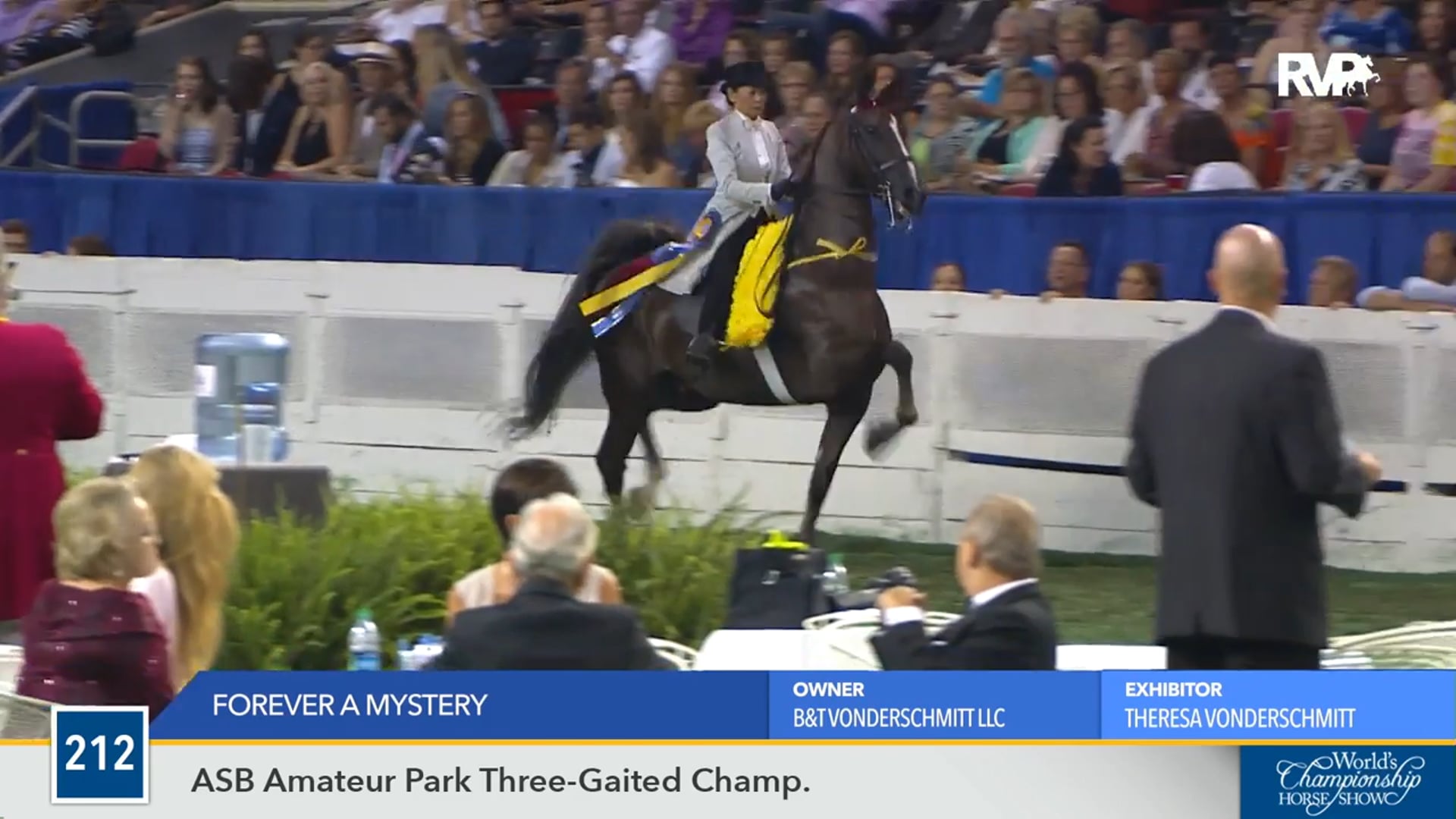 WCHS16 - Forever A Mystery - Championship