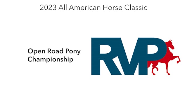 ASHAV23 - Class 117 - Open Road Pony Championship
